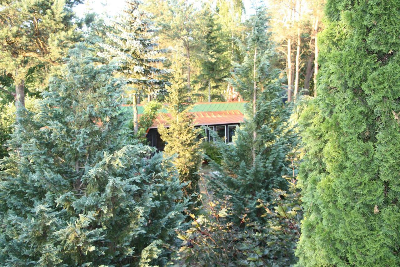 Holiday Villa Zuromino מראה חיצוני תמונה
